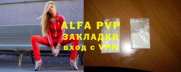 apvp Вяземский